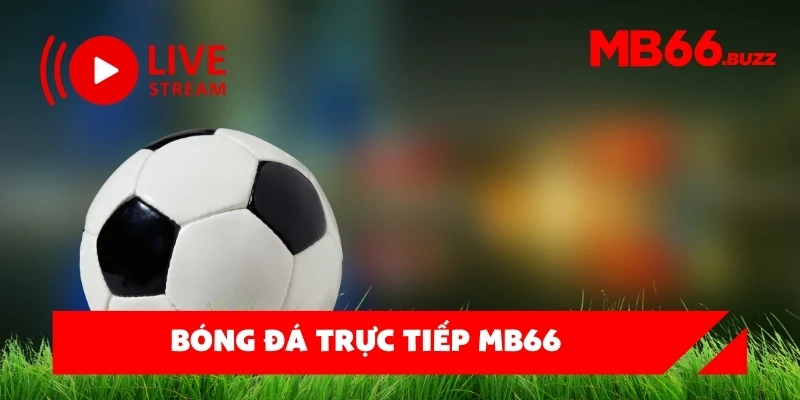 Bóng đá trực tiếp MB66 – Xem mọi trận đấu đỉnh cao, không giật lag