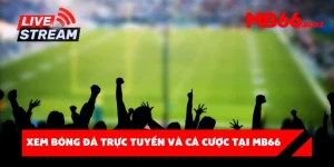 Xem bóng đá trực tuyến và cá cược tại MB66 – Đỉnh cao giải trí cho mọi tín đồ
