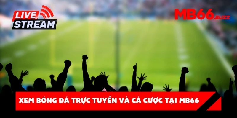 Xem bóng đá trực tuyến và cá cược tại MB66 – Đỉnh cao giải trí cho mọi tín đồ