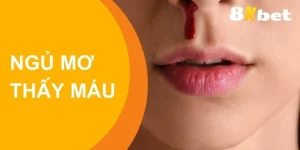 Ngủ Mơ Thấy Máu - Giải Mã Thông Điệp Từ Tiềm Thức Là Điềm Gì?