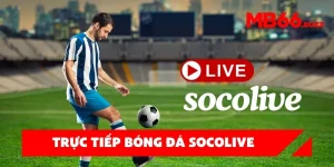 Trực tiếp bóng đá Socolive – Cập nhật link xem mới nhất mỗi ngày