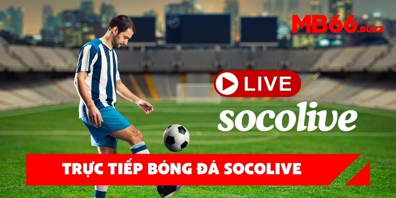Trực tiếp bóng đá Socolive – Cập nhật link xem mới nhất mỗi ngày