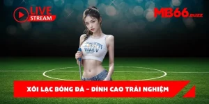 Xôi lạc bóng đá – Đỉnh cao trải nghiệm bóng đá trực tiếp miễn phí